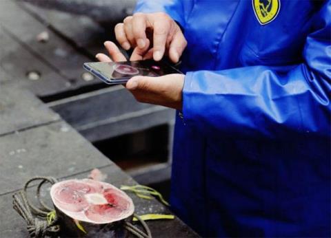 Japonské sushi reštaurácie používajú AI na vyhodnotenie kvality každého kusu tuniaka s vysokou presnosťou